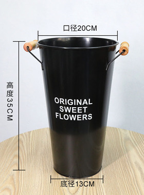 鲜花鲜花养花干花花盆装饰摆件