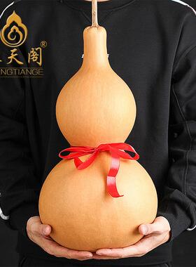特大天然葫芦摆件真品葫芦家居办公室送礼品公司福摆件玄关装饰