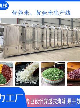 人造大米生产设备黄金米土豆再生米加工机械营养强化绿竹米膨化机