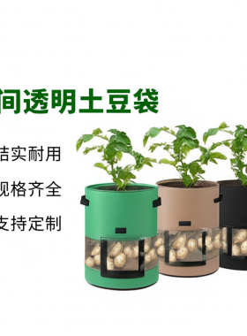 马铃薯西红柿透明透明土豆花瓶