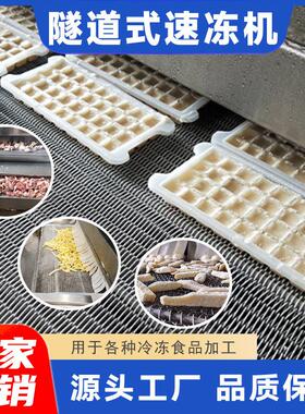 火锅丸子冷冻设备 肉制品低温速冻流水线 鸡鸭肉隧道式速冻机