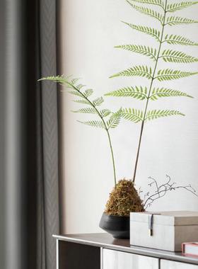 新中式日式侘寂风仿真蕨类金毛狗阙植物盆栽禅意茶楼茶室玄关摆件