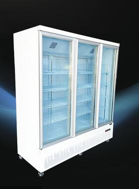 定制商用立式冰柜冻品预制菜水饺肉丸汤圆雪糕冷冻展示柜除雾玻璃