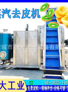 耐用黄桃蒸汽去皮机械设备做工扎实果品深加工专用器械