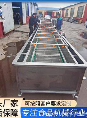 6500型蔬菜气泡清洗机水果清洗设备304不锈钢板材佳圣特机械
