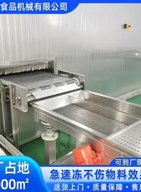 墨鱼丸冻机竹节虾冷冻机虾仁速冻设备大黄鱼隧道式速冻机
