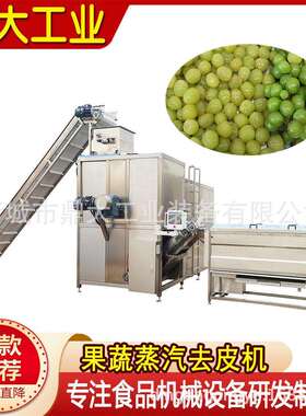 黄桃葡萄加工机械隆坤蒸汽去皮机头设备全自动流水线蒸汽脱皮机