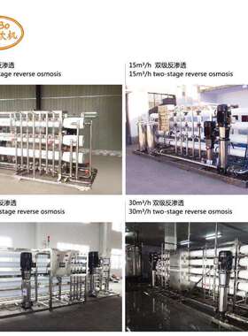 单级双极反渗透水处理设备ro膜去离子水大型一体化纯净水过滤设备