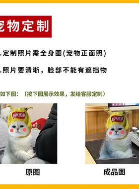 猫咪宠物摇头桌面摆件定制车载情绪稳定汽车摇摇乐治愈系礼物情侣