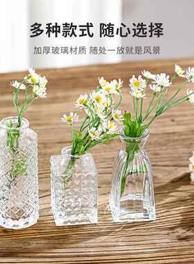 新款直销复古轻奢浮雕透明法式玻璃花瓶ins风家居摆件客厅袖珍插