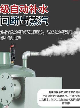 锅炉柴煤两用家用热水酿酒洗浴做豆腐节能炉养殖蒸汽炉商用餐饮店