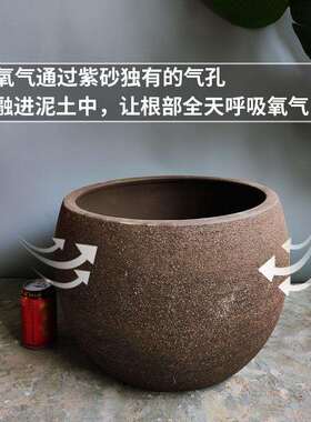 老式粗土缸特大口径黑陶紫砂陶花盆户外庭院素烧瓷罐阳台摆件装饰