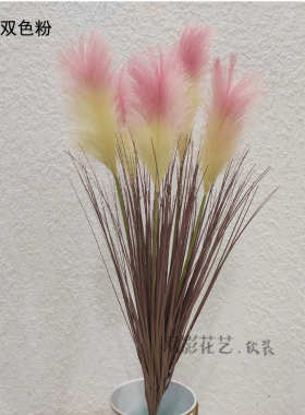 装饰芦苇仿真芦苇单花把造景芦大丛5头彩芦苇束加密仿真色 苇草支