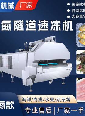 商用全自动果蔬丁急速保鲜速冻机低温冷冻梅子用液氮式隧道速冻机