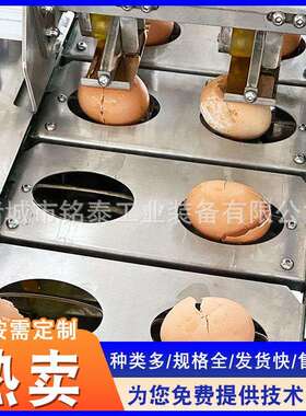 鸡鸭蛋蛋液分离机大型不锈钢蛋白蛋黄分离机商用打蛋设备