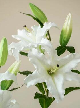 仿真百合花手感超真保湿百合花客厅摆设装饰摆件家居经典百合花束