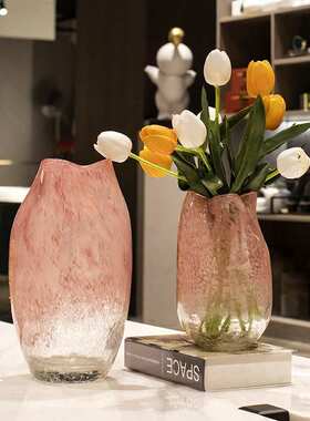 不规则水培客厅点粉色插花花玻璃花瓶装波创意器奢软粉色轻现代