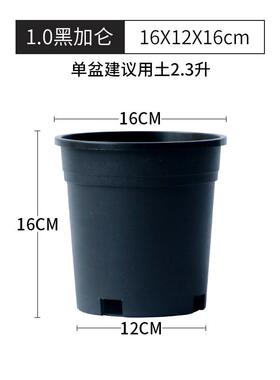 黑色塑料花盆绿植盆栽绿萝花瓶