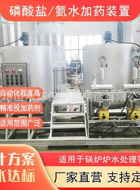 阻垢剂加装置全自动不锈钢加系统磷酸盐联氨加设备源头厂家