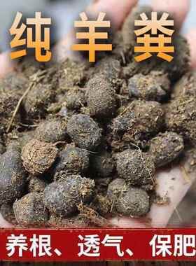 自然发酵纯羊粪肥瓜果蔬菜花卉通用盆栽种地底肥追肥土壤改良