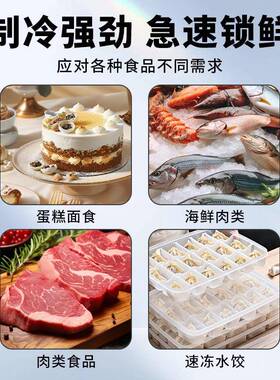 商用速冻柜低温急速冷冻柜海参饺子水饺速冻机插盘式大容量速冻机