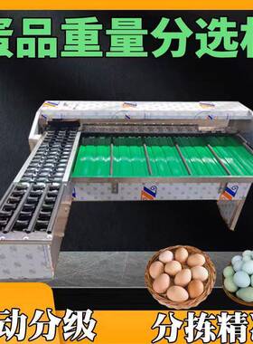 咸鸭蛋皮蛋加工设备蛋品大小分选设备鸡蛋重量分级机