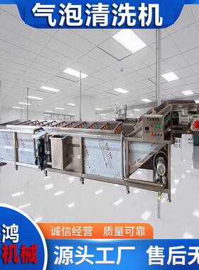 果蔬气泡清洗机型洗浴冲浪机设3米浆果洗菜小压杰鸿机械清备洗机