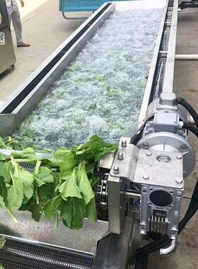 多功能气泡清洗机厂家大白菜喷淋气泡清洗机果蔬气泡清洗机