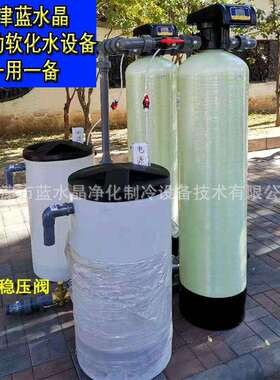 玻璃水车用尿素消毒液防冻液洗洁精用水设备日化RO反渗透纯水设备