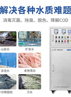 工业级水处理空气源臭氧发生器 纯净水厂饮用水消毒臭氧消毒机