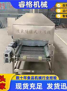 冷鲜海鲜液氮速冻机面 全自商用食速冻线 果蔬速肉547动冻流水线