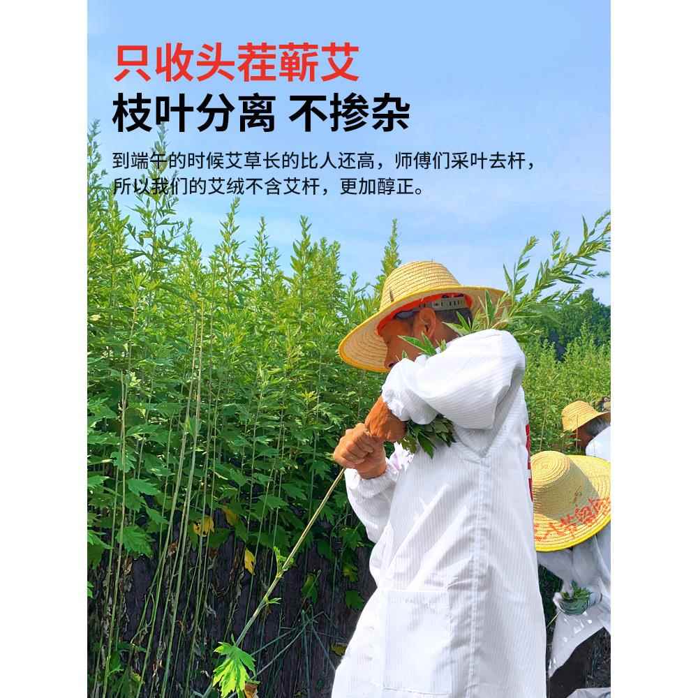 艾灸条柱艾草三年陈蕲艾柱官方旗舰店正品加粗短艾柱艾段小艾灸柱 - 图3