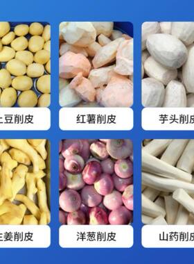 多功能果蔬削皮机 土豆洋芋去皮机 食品水果脱皮流水线瓜果削皮机