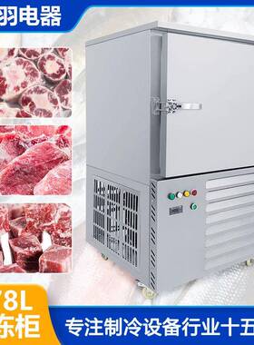 虾478六层零下4 5178L商用饺子包子速冻机龙海鲜手工冰棒速度冻柜