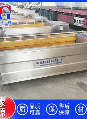 樱桃萝卜清洗机小青柠檬软毛刷清洗泥沙杂质设备百香果毛刷刷洗