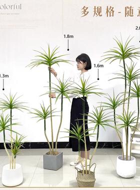 仿真绿植千年木假植物轻奢客厅装饰树室内大型盆栽龙血树落地摆件