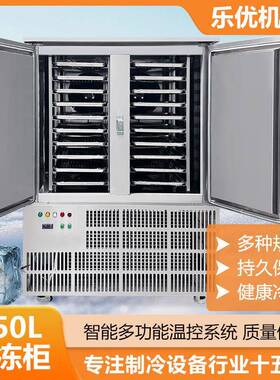 速哇噢m腌制笋430虾仁低温-40度节能极速冻机 大20酸盘海鲜速型冻
