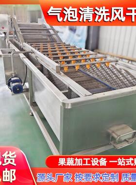 气泡式荷兰豆清洗机多功能气泡喷淋洗菜机刀豆毛豆清洗设备