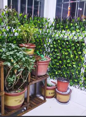 仿真绿植物墙面花架伸缩木栅栏庭院阳台户外栏杆护栏花园篱笆围栏