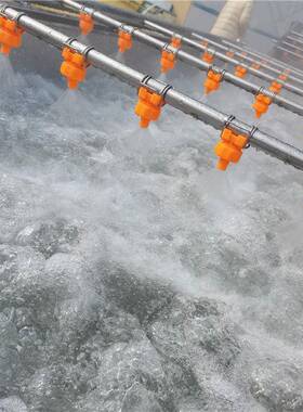 气泡清洗机全自动水果蔬菜清洗机预制菜清洗机大枣枸杞清洗机