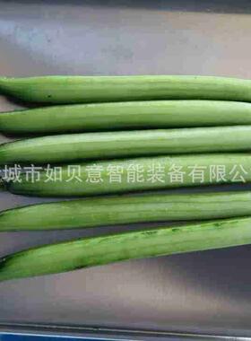 不锈钢山削皮机大产量根茎类剥皮设备贡菜削皮机