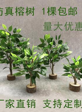 彷真新款绿色盆栽假绿植桌面摆件人造植物装饰婚庆花艺软装小榕树