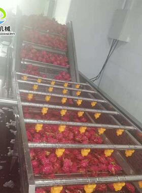 山东厂家直销山清洗机不锈钢多功能平行毛辊山橙子清洗机