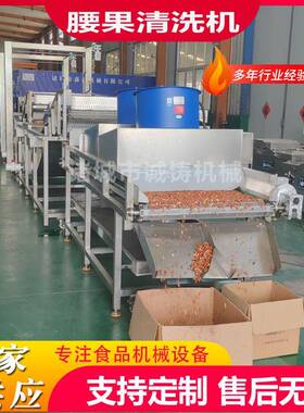 干果气泡清洗风干线无花果干鼓泡翻浪清洗机核桃仁气泡清洗机设备
