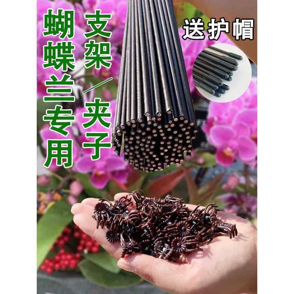 蝴蝶兰支架花夹子支撑杆花卉专用架子盆架铁丝造型爬藤园艺固定夹,淘宝优惠券,粉丝福利购,淘宝优惠卷