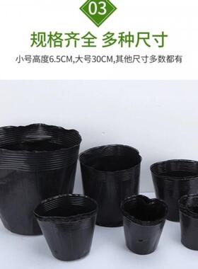 一次性花盆育苗杯营养杯黑色营养袋育苗袋大号塑料育苗盆营养钵