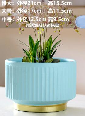 蝴蝶兰亚马逊批发直销陶瓷花瓶