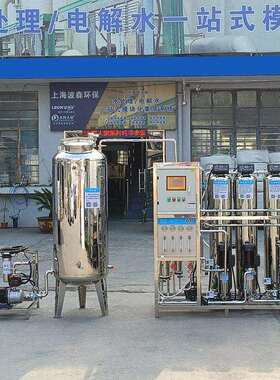 250升双级反渗透设备大型工业净水处理设备RO纯净水设备去离子机