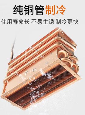 厂家供应立式四六门冰箱冰柜海鲜鱼肉商用家用冷冻保鲜大容量冰柜