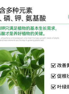水培营养液 办公室盆栽 绿植迷你盆栽植物水培花肥养花通用富贵竹